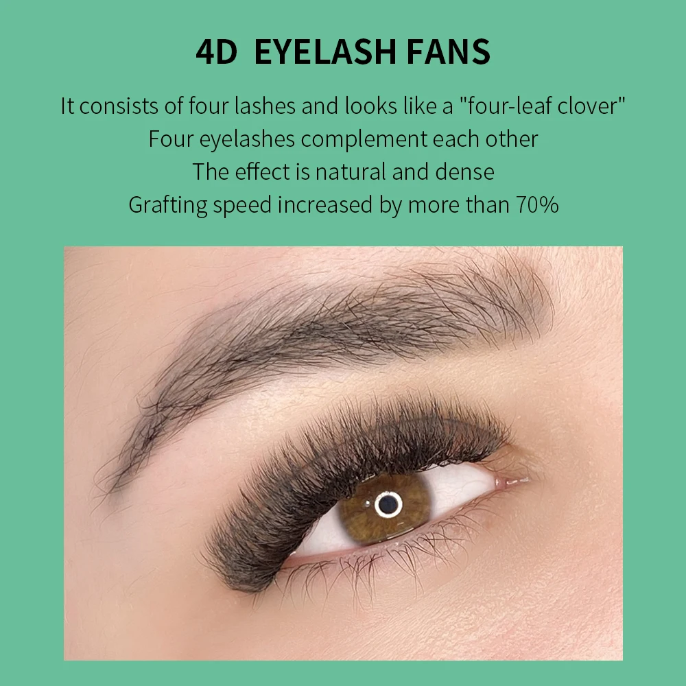 まつげエクステ,GLAMLASH-4D wの形をしたつけまつ - Eyelash Extension For Asian Eyes のレビューと価格