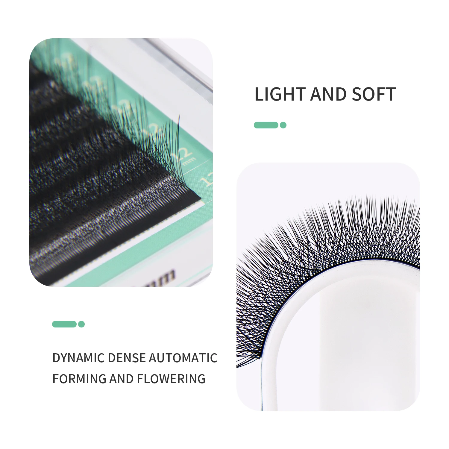 まつげエクステ,GLAMLASH-4D wの形をしたつけまつ - Eyelash Extension For Asian Eyes のレビューと価格