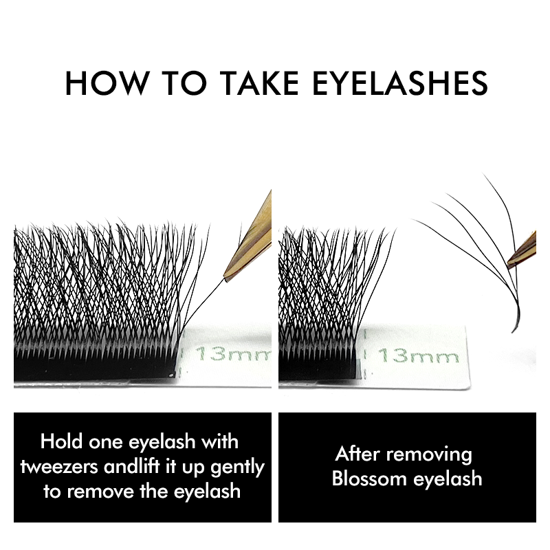 3D 4D 5D 6D W 形状クローバーまつげエクステンシ - Eyelash Extension Russian のレビューと価格